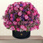 Bouquet of pink and purple flowers in a black container on a light background