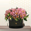 purple cymbidium