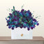 Blue orchid