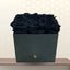 Black rose in box