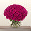 KIRILL- HOT PINK ROSES BUNCH