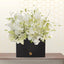 White orchid flower