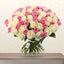 MANYA- WHITE AND PINK ROSES BUNCH