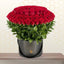 Red Rose rose black box