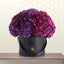 puple hydrangea box - flowers delivery dubai
