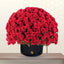 Red Roses Premium Box Arrangment