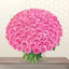 100 pink roses bunch - hundred roses bunch