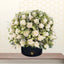 White Roses Premium Box - Vip Flowers