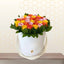 Yellow, Orange, and Pink Roses in White Box