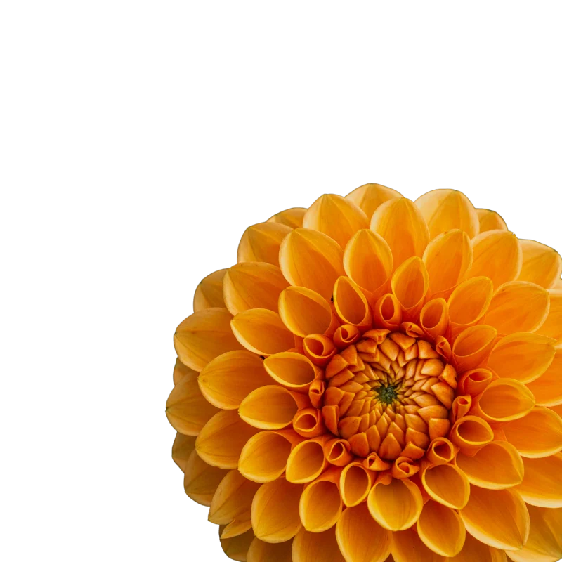 Top 6 Mothers Day Gift Unique Mothers Day Gift Ideas To Show Your Love