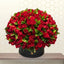 200 - Red Roses in Black Box