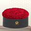 300 Red Roses in Flat Premium Box