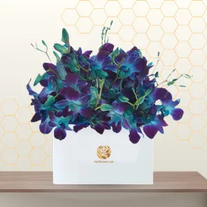 Blue orchid Main image