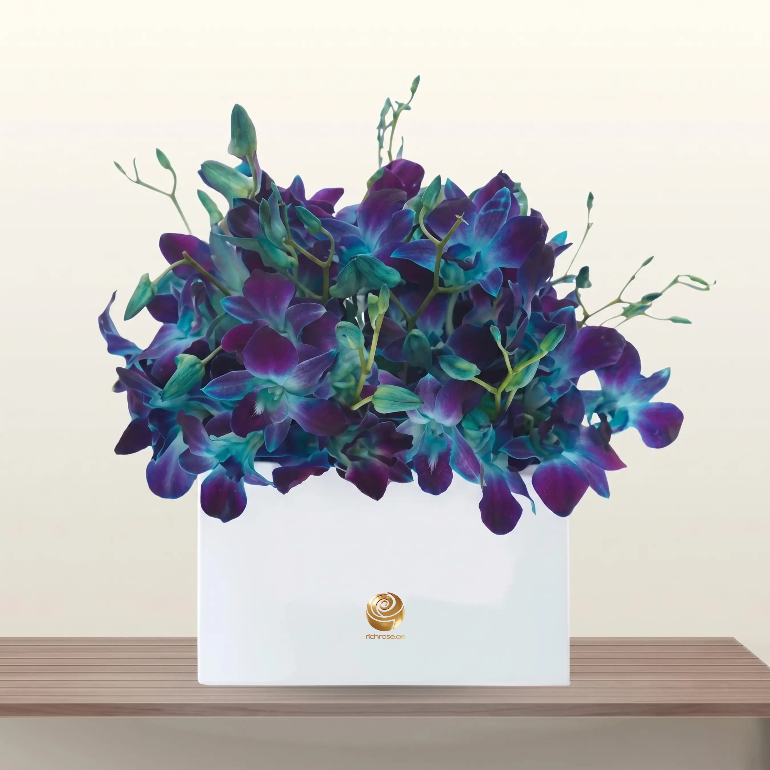 Blue orchid