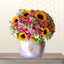 sunflowers