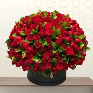 Dear Valentine - Red Roses in Black Box Main image