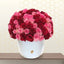 ELAINA - ROSES MIX OF PINK AND RED -ROUND SHAPE BOX ARRANGEMENT
