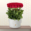 red roses box - surprise flowers
