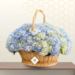 Hydrangea Basket Main image