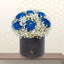 blue roses in dubai
