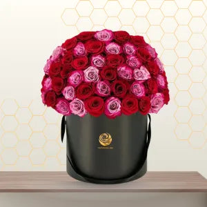 LITTLE WOMEN Main image