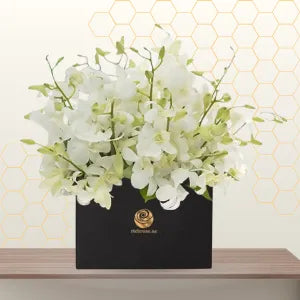 White orchid flower Main image