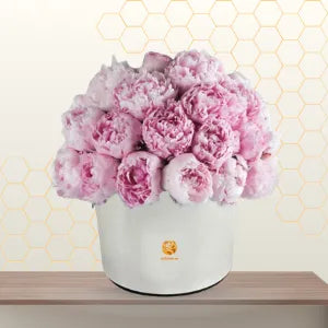Peony Box