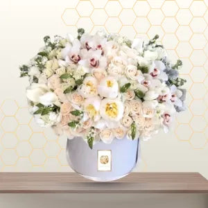 mixed white colors premium box Main image