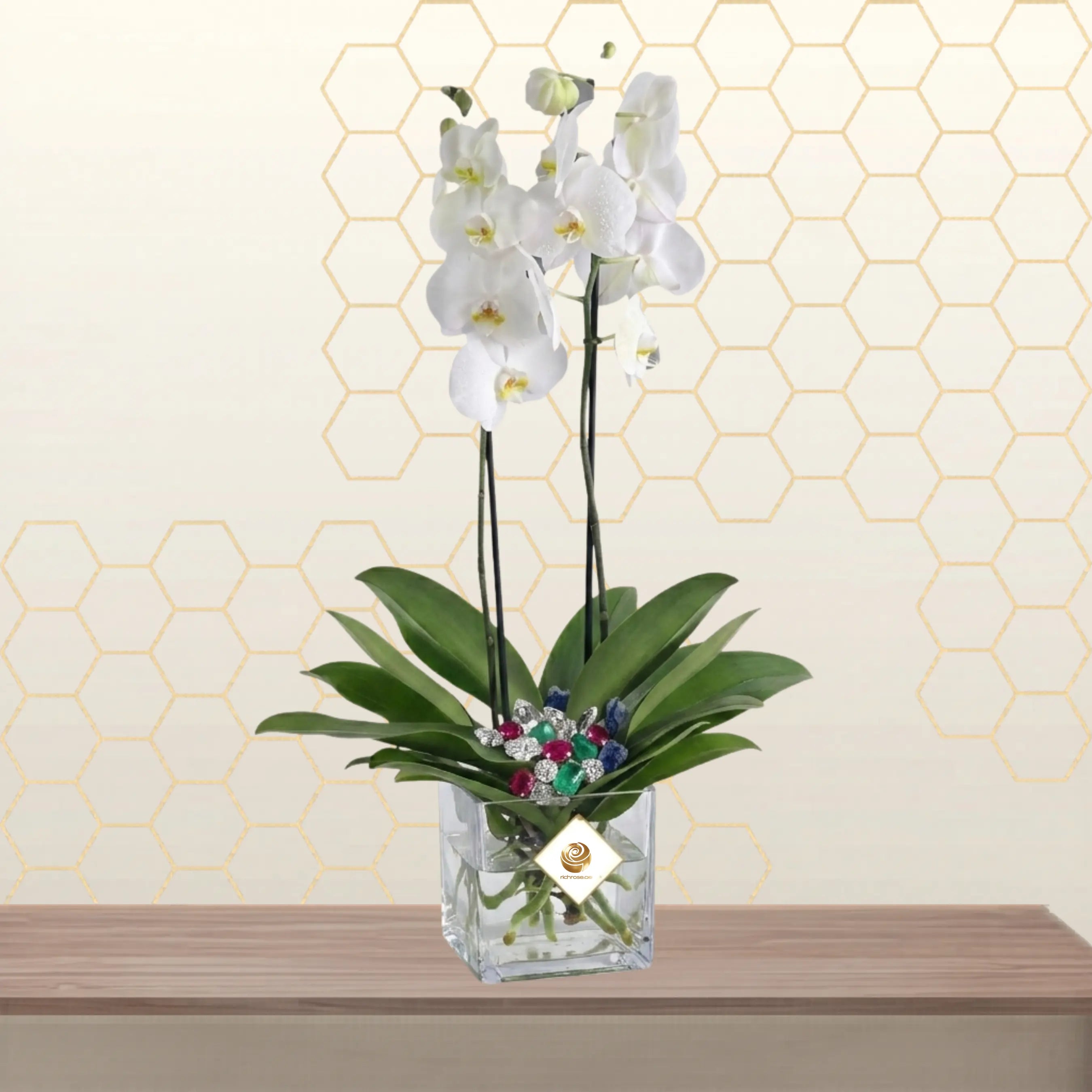 white phalaenopsis - flowers for house warming Main image