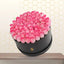 pink roses in black box
