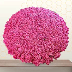 five hundred purple roses bunch Main image