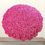 five hundred purple roses bunch