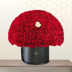 Luxury red roses Main image