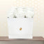 ROSEAU- Elegant White Roses Box Arrangement