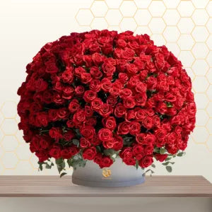 THE NOTE BOOK Main image