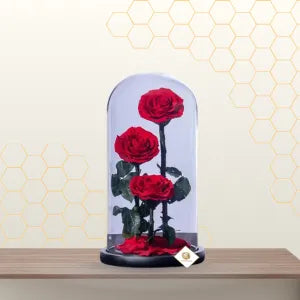 Three Stem Preserved Roses - Eternal Roses - Forever Roses Main image