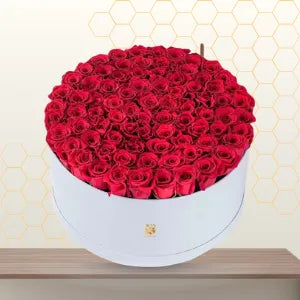 Valentines Premium Red Roses Black Box Main image