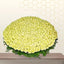 five hundred white roses arrangment