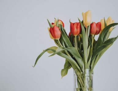 Blooms In A Hurry: Sameday Flower Delivery For Your Last-Minute Occasions From Richrose Online Flowe