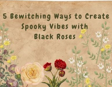 5 Bewitching Ways to Create Spooky Vibes with Black Roses 