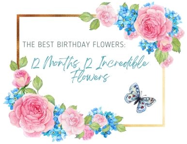 The Best Birthday Flowers: 12 Months, 12 Incredible Flowers