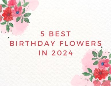 5 Best Birthday Flowers in 2024