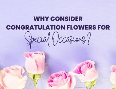 Why Consider Congratulation Flowers for Special Occasions? 