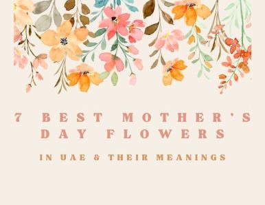 7 Best Mother's Day Flowers in UAE and Their Meanings