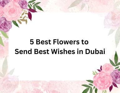 5 Best Flowers to Send Best Wishes in Dubai