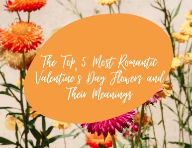 The Top 5 Most Romantic Valentine's Day Flowers and Their Meanings