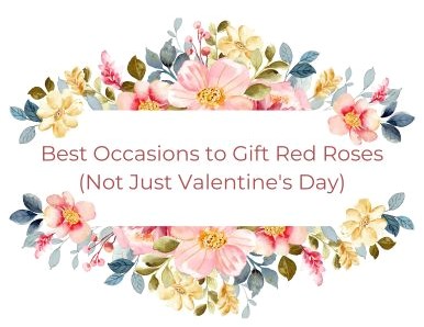 Best Occasions to Gift Red Roses (Not Just Valentine's Day)