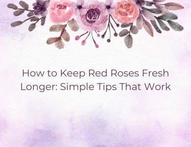 How to Keep Red Roses Fresh Longer: Simple Tips That Work