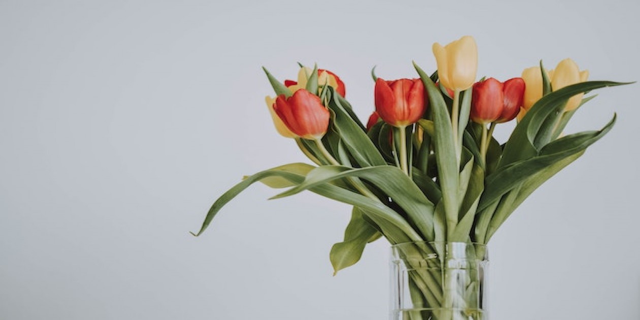 Blooms In A Hurry: Sameday Flower Delivery For Your Last-Minute Occasions From Richrose Online Flower Delivery