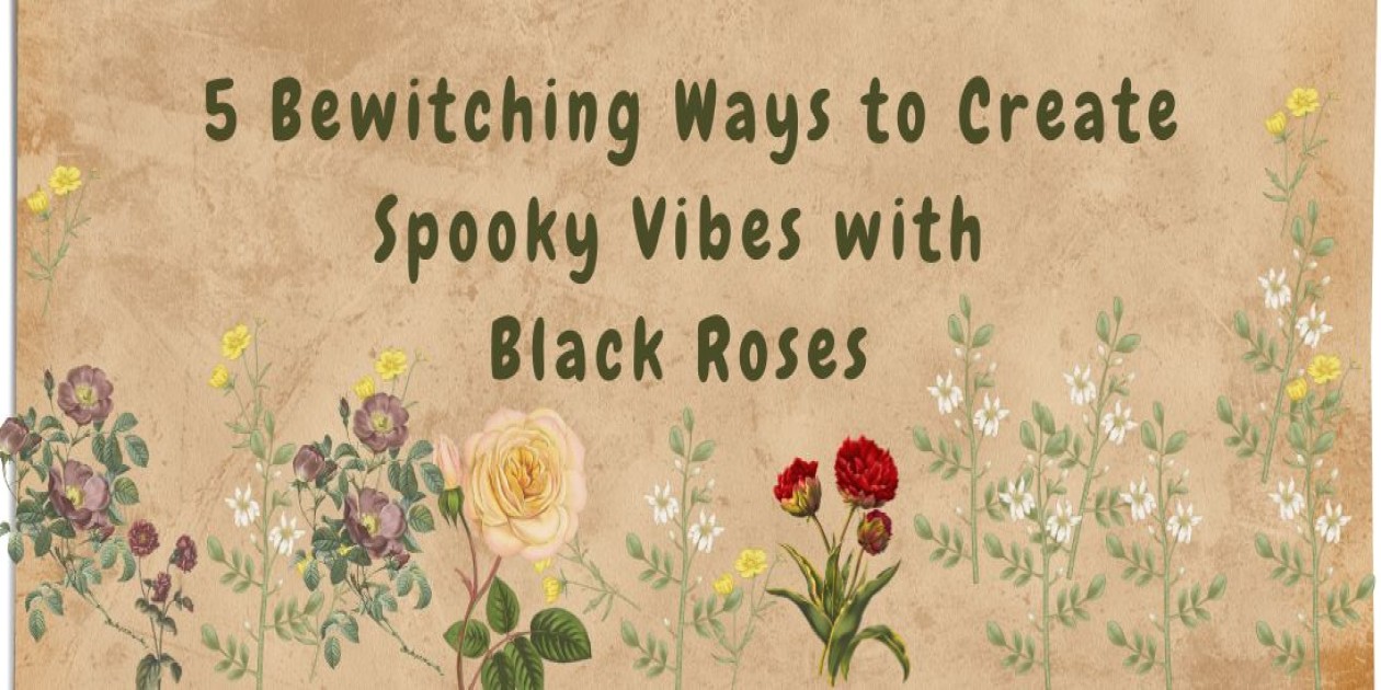 5 Bewitching Ways to Create Spooky Vibes with Black Roses